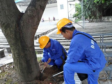 多年行业经验 专业防治工程队伍