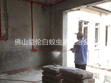 迳口装修预防白蚁工程
