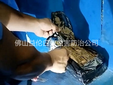 乐平白蚁侵害防治工程